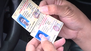 Lái xe hàng chục năm cũng khó nhận ra bằng lái ô tô giả