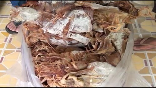 Mực khô giả, nướng có mùi khét như cao su bày bán tràn lan ở khu du lịch