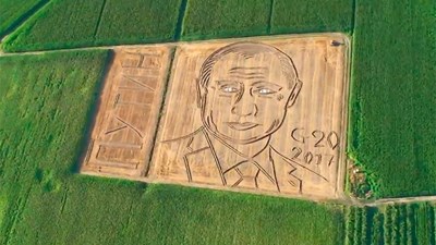 Dùng máy kéo vẽ chân dung Putin trên đồng ngô