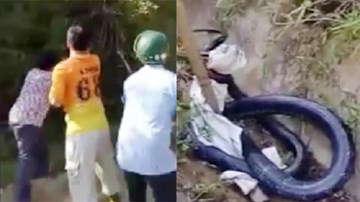 Dân vây bắt hổ mang chúa 7kg, dài gần 4m ở Yên Bái