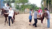 Cưỡi ngựa - Thú chơi mới tại Hà Nội