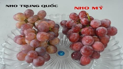 Mẹo hay phân biệt nho ta và nho Trung Quốc, nho Mỹ