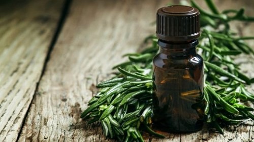 Những lợi ích đáng kinh ngạc của tinh dầu cây trà