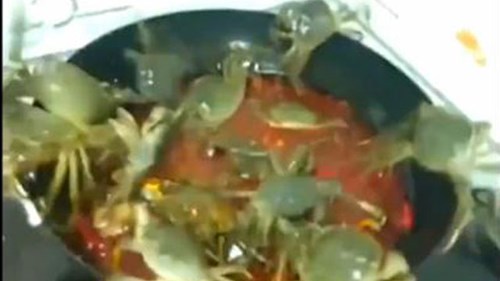 Clip hài: Khi đàn ông trổ tài vào bếp