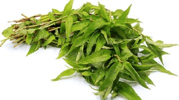Vì sao người Việt Nam thích ăn rau răm?