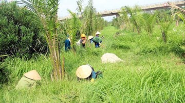 'Khai hoang' trên đại lộ hiện đại nhất Việt Nam