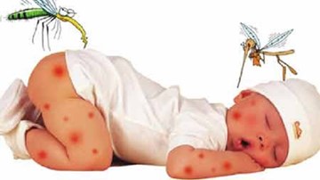 Hà Nội sốt xuất huyết gia tăng do vỡ đường ống nước Sông Đà