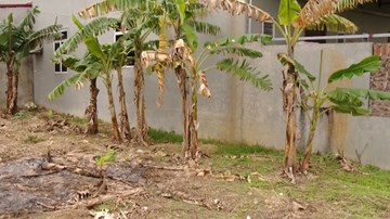 Kết luận vụ bán đất trái thẩm quyền tại Hưng Yên