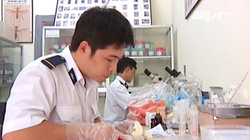 Hoa quả nhập từ Trung Quốc được kiểm soát chất lượng thế nào?