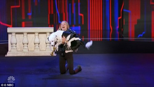 Tiết mục dễ thương của chú chó biết làm xiếc