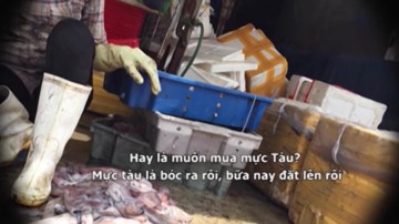 Mực thối siêu rẻ tràn ngập chợ đầu mối ở Thủ đô