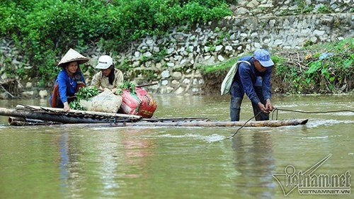 Căng dây thép lướt trên miệng hà bá