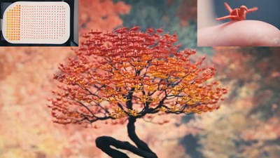 Nghệ nhân Nhật làm Shushi, gấp hạc tạo bonsai chính xác và vô cùng đẹp mắt