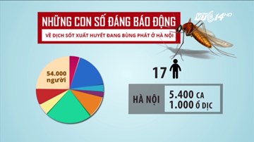 Những con số báo động về dịch sốt xuất huyết