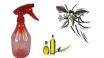 Cách tự chế thuốc xịt muỗi an toàn trong 30 giây