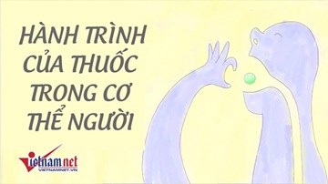 Khám phá 'hành trình' của thuốc trong cơ thể người