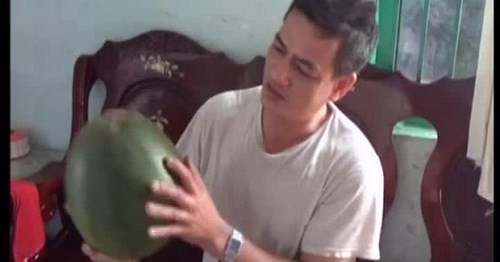 Dưa hấu để hơn nửa năm không hỏng ở TP.HCM