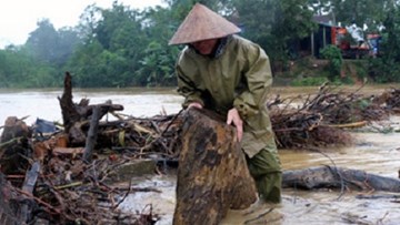 Rùng mình cảnh người dân Điện Biên liều lĩnh vớt củi bất chấp lũ dữ