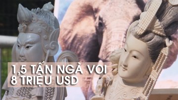 Mỹ mạnh tay phá hủy các tuyệt tác từ ngà voi trị giá hàng triệu USD