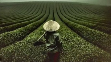 Cảnh đẹp Việt Nam của nhiếp ảnh gia người Mỹ