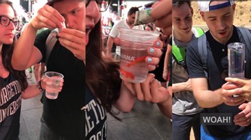 Chàng ảo thuật gia đường phố gốc Việt gây ngỡ ngàng