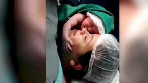 Em bé vừa chào đời ôm hôn mẹ thu hút hàng triệu lượt xem