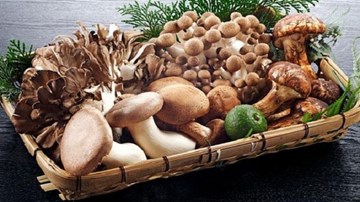 Bí quyết lựa chọn nấm tươi, ngon, an toàn ngoài chợ