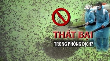 Hà Nội thất bại trong phòng dịch sốt xuất huyết?
