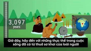 Những sinh vật đã sống từ hàng trăm ngàn năm trước đến nay