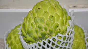 Xem quả na nặng hơn 1kg được bày bán tại Lạng Sơn