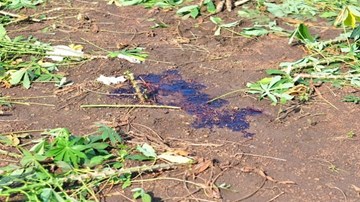 Thông tin mới về vụ nữ sinh lớp 11 bị bắn ở Đồng Nai