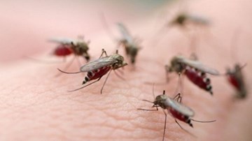 Chế độ ăn, uống cần tuyệt đối tuân thủ khi sốt xuất huyết