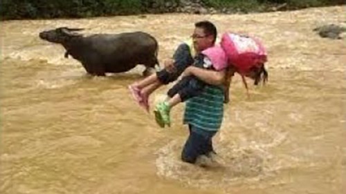 Thầy giáo kéo phao, giúp học sinh vùng lũ vượt suối tựu trường