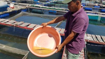 Người dân hoang mang vì chất lạ trên sông Chà Và
