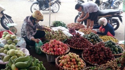 Hà Nội cấm bán hoa quả ở lòng đường, vỉa hè trong nội thành