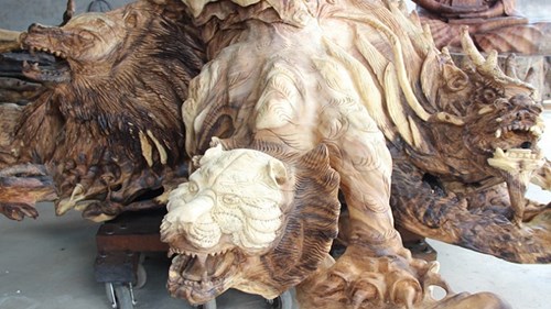 Bộ gốc, rễ cây bàng có người hỏi mua với giá 35 tỷ đồng