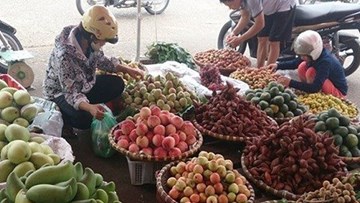 Khó quản lý chất lượng trái cây bằng việc xóa bỏ hàng rong