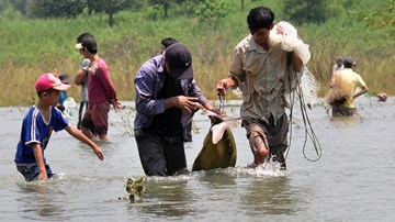 Người dân đổ xô về chân đập thủy điện bắt cá 'khủng'