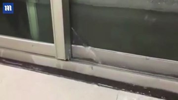 Bị bỏ mặc ở nhà, chú chó trả thù bằng cách 