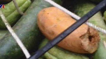 Phát hiện gần 100kg thực phẩm bẩn được đưa vào trường học