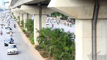Gầm đường sắt trên cao Cát Linh-Hà Đông có 1.500 cây cau đẻ