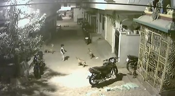 Bé trai 3 tuổi gặp đàn chó hoang và cái kết không ai ngờ tới