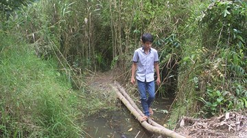 Phá nhanh vụ án giết nữ sinh chôn xác
