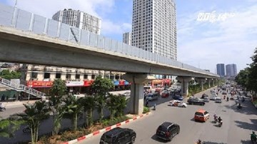 Trồng cau cảnh dưới hầm đường sắt trên cao có hợp lý?