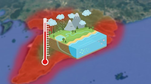 Đồng bằng sông Cửu Long có biến mất vào năm 2100?