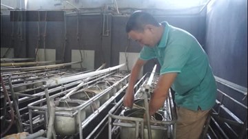 “Gã khùng” trồng giá sạch bằng điều hòa mở mắt ra là có tiền triệu