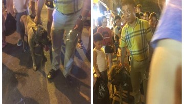 Vụ thả rông chó pitbull giữa phố Hàng Mã: 'Thả chó cắn người đấy, thì sao?'