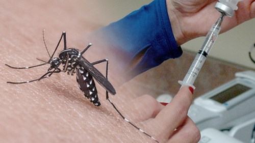 Thử nghiệm lâm sàng vaccine sốt xuất huyết