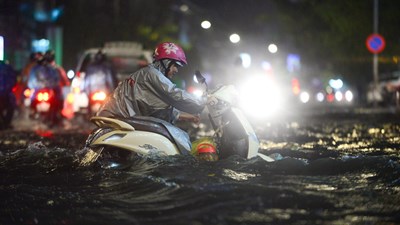 Sài Gòn mưa lớn, cây đổ, người dân lội nước khốn khổ