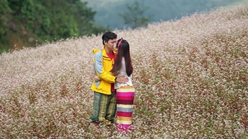 9X quỳ gối cầu hôn bạn gái giữa cánh đồng hoa tam giác mạch